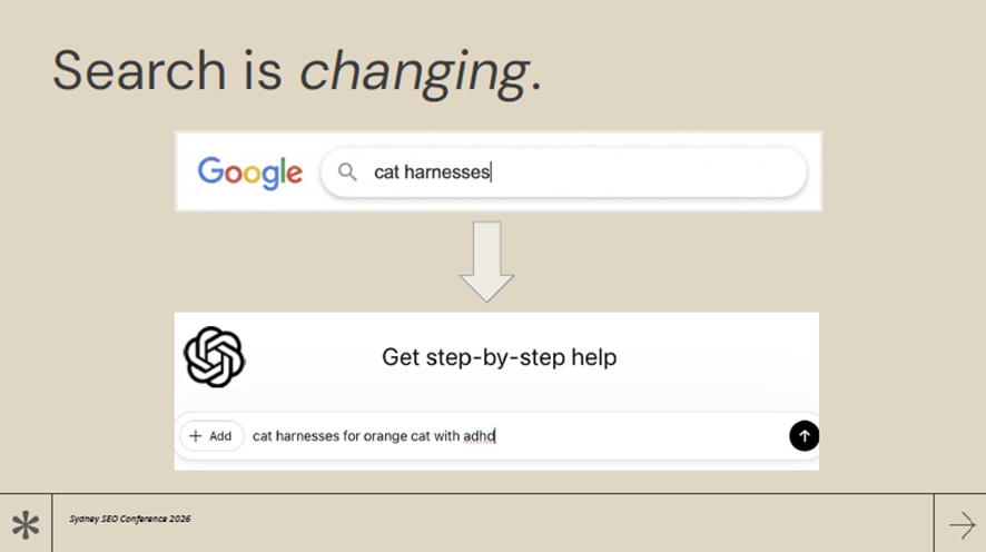 猫用ハーネスの検索が変わっている例