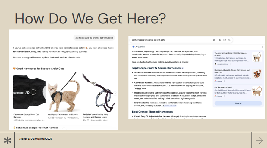 猫用ハーネスに関するAI回答の例